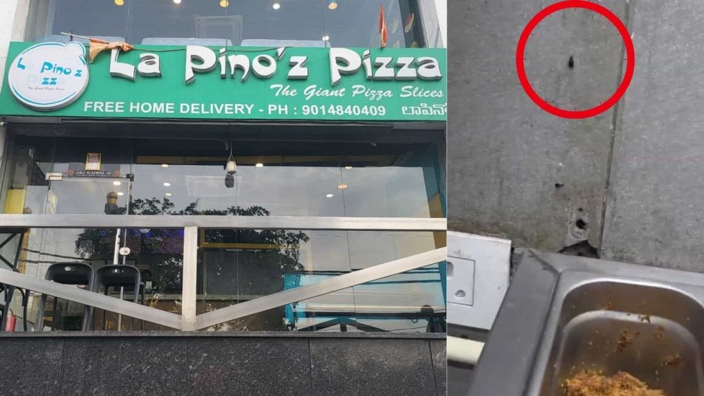 Cockroach Infestation, Lizard Droppings Found at La Pino’z Pizza During Food Safety Inspection