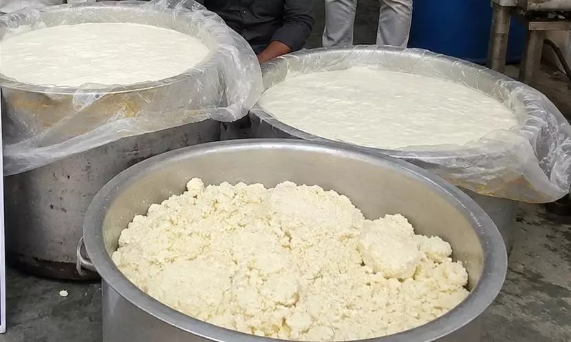 Food Unit Raid in Hyderabad: 1,000 Kg Curd, 6 Kg Khowa Seized
