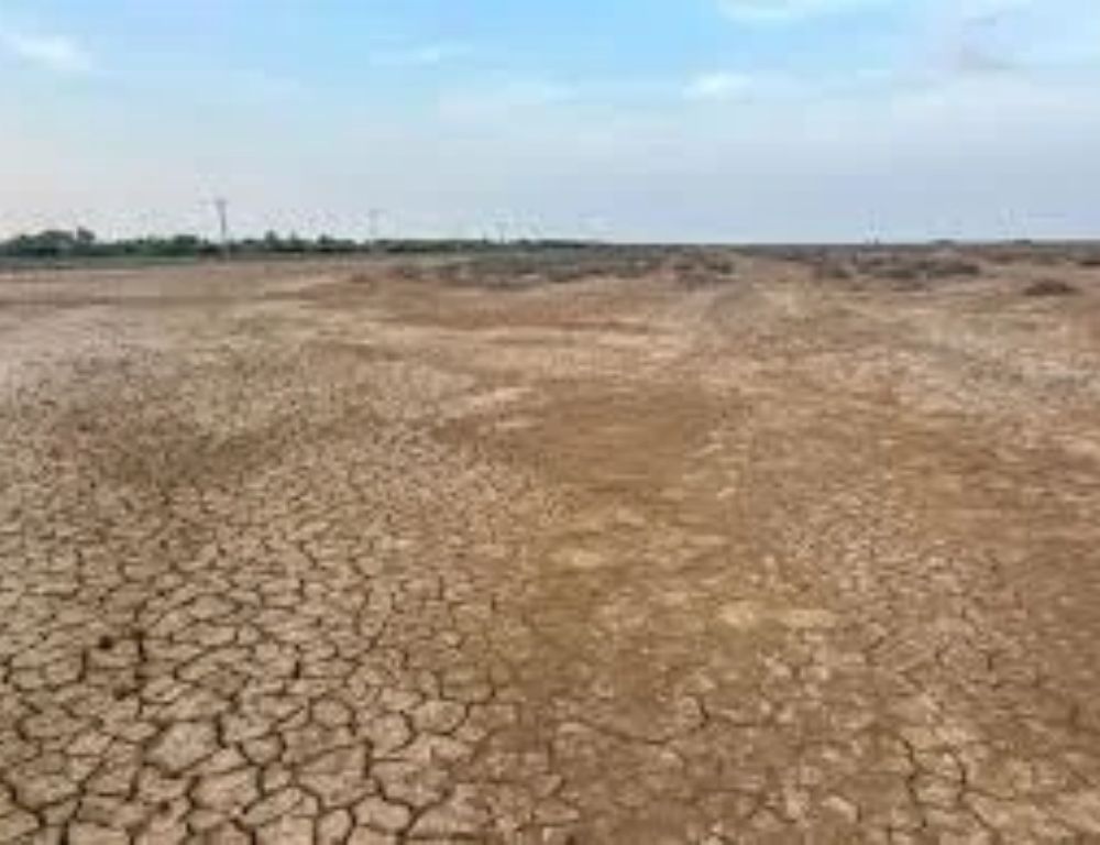Telangana Declares 365 Mandals Drought-Hit, Announces Relief Measures for Farmers
