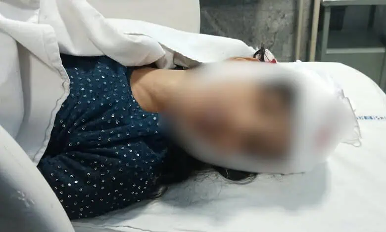 Student Dies After Lighting Fixture Collapses at Hyderabad Dandiya Event; 15 Injured